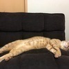 jaejoongさんのプロフィール画像