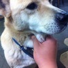HAOさんのプロフィール画像