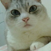 M田さんのプロフィール画像