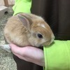 ルーさんのプロフィール画像