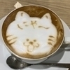 たーさいさんのプロフィール画像
