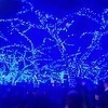 デニムRさんのプロフィール画像