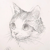 shihoさんのプロフィール画像