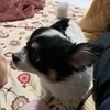 masamichiさんのプロフィール画像