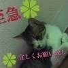 アンヨさんのプロフィール画像