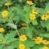 あいうえおさんさんのプロフィール画像