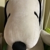 tomoさんのプロフィール画像