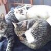タケさんさんのプロフィール画像