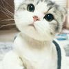 shimaさんのプロフィール画像