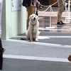 ラガさんのプロフィール画像