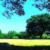 ys55さんのプロフィール画像