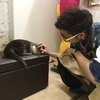 アウルさんのプロフィール画像