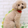 ヒロ(*^^*)さんのプロフィール画像