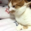 つかささんのプロフィール画像
