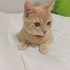 maiさんのプロフィール画像