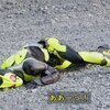 あくつさんのプロフィール画像