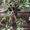 timmyさんのプロフィール画像