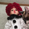 DOLL