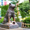 NSさんのプロフィール画像