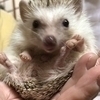 まるお