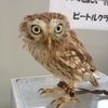 整備士のあーやんまんさんのプロフィール画像