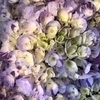 千紘さんのプロフィール画像