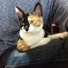 アースビートさんのプロフィール画像
