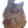 むーたん