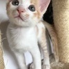 miyabiさんのプロフィール画像