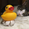 なつこさんのプロフィール画像