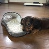 あずきさんのプロフィール画像