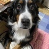 えーさんのプロフィール画像