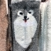 たろすんさんのプロフィール画像