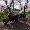 マサさんのプロフィール画像
