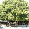 RYUさんのプロフィール画像