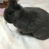 ゆうきさんのプロフィール画像