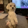 まささんのプロフィール画像