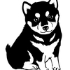 sapporoさんのプロフィール画像
