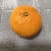 りむさんのプロフィール画像