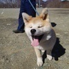 ぱむさんのプロフィール画像