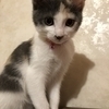 micherさんのプロフィール画像
