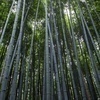 植松さんのプロフィール画像