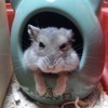梅千代さんのプロフィール画像