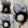 tomo さんのプロフィール画像