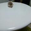 アキラさんのプロフィール画像