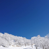 Skyさんのプロフィール画像