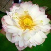 yukiさんのプロフィール画像