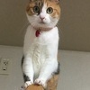 BASSMANさんのプロフィール画像