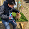 Daiさんのプロフィール画像