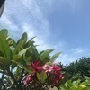 ぺこさんのプロフィール画像